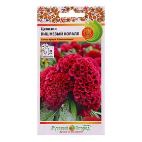 image for offer named Семена цветов Целозия "Вишневый коралл", 60 шт