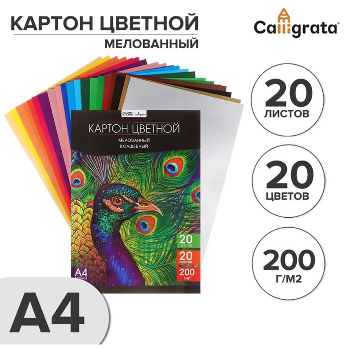 offer image