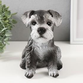 image for offer named Копилка  "Щеночек Миттель" высота 17 см, ширина 11,5 см, длина 16,5 см серо-черный