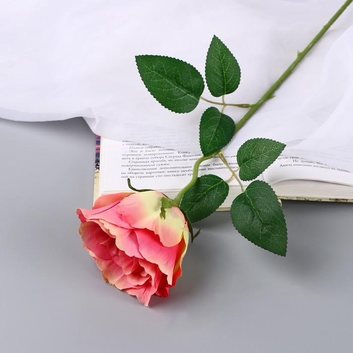 offer image