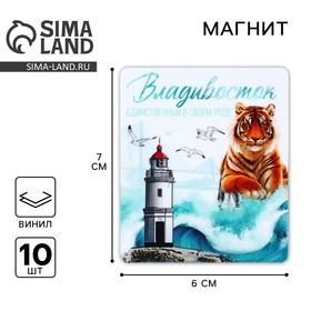 image for offer named Магнит виниловый "Владивосток" 6 х 7 см