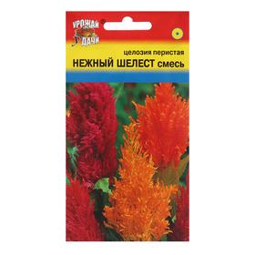 image for offer named Семена цветов Целозия перистая "НЕЖНЫЙ ШЕЛЕСТ", Смесь, 0,2 г