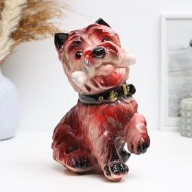 image for offer named Копилка "Собачка с костью" 21х16см