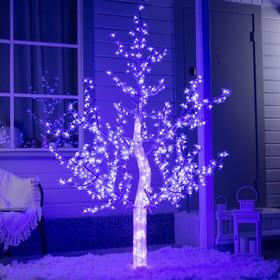 image for offer named Светодиодное дерево «Акриловое» 1.8 м, 768 LED, постоянное свечение, 220 В, свечение красное/синее