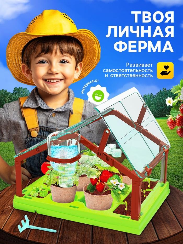 offer image