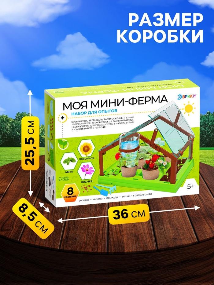 offer image