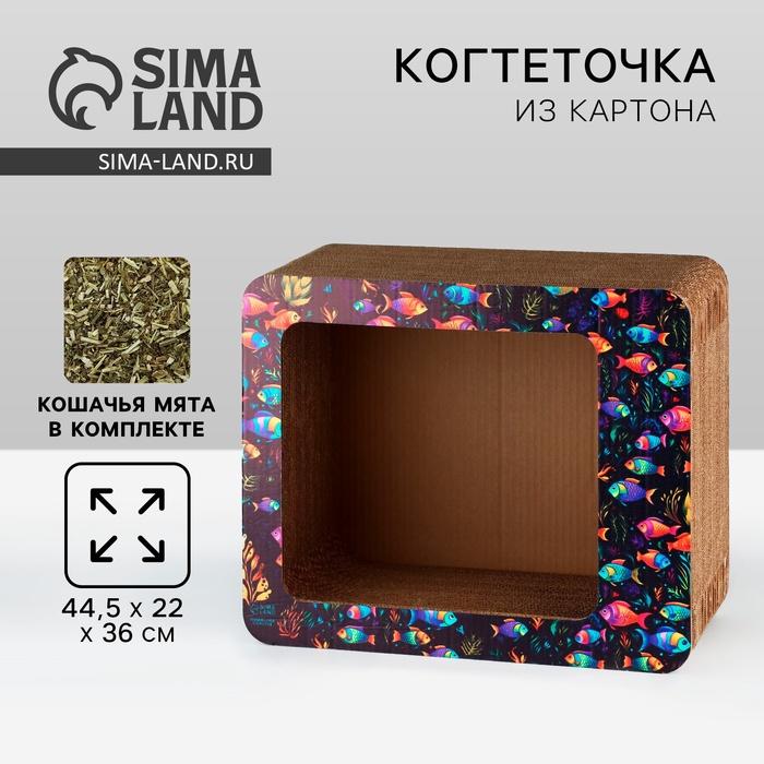 offer image