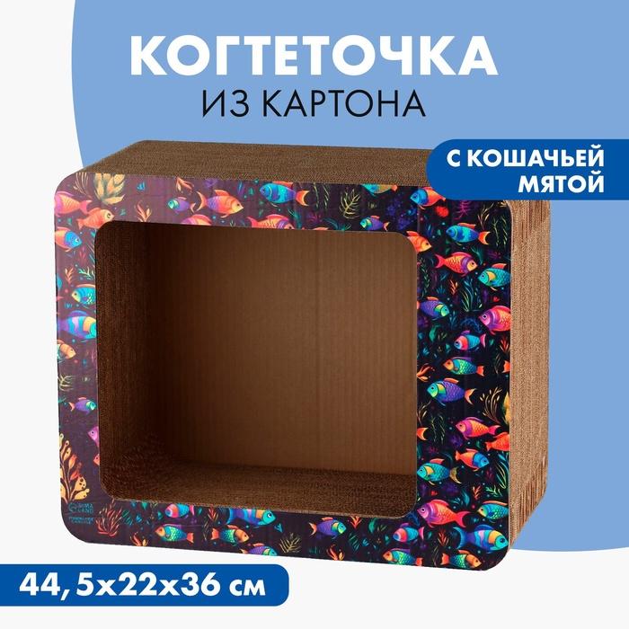 offer image