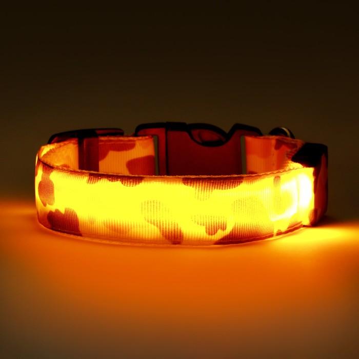 offer image
