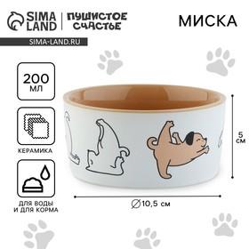 image for offer named Миска керамическая «Фитнес песики», 200 мл, для собак
