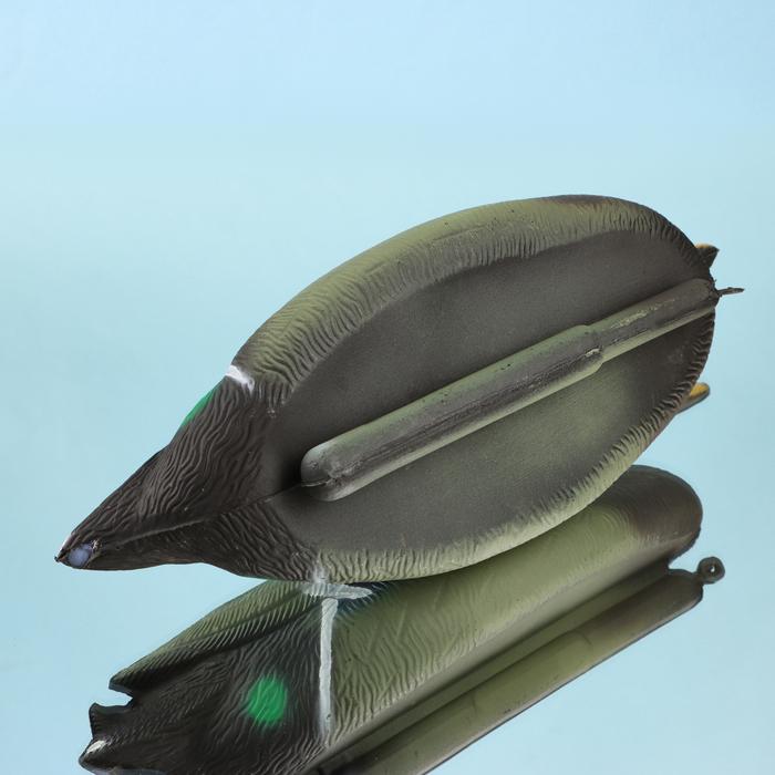 offer image