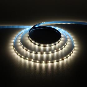 image for offer named Светодиодная лента Uniel PRO 12В, SMD2835, 4 м, IP20, 4.8Вт/м, 60 LED/м, 4000K