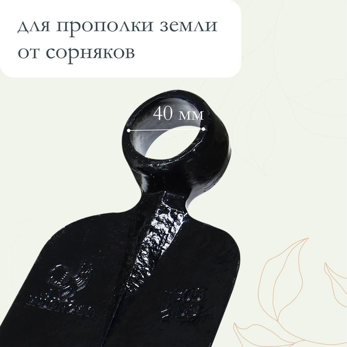 offer image