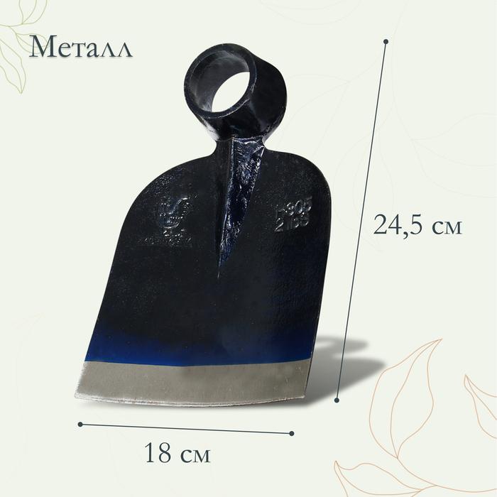 offer image