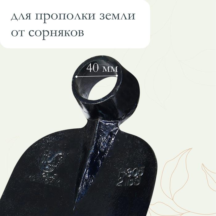 offer image