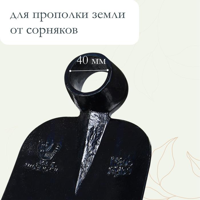 offer image