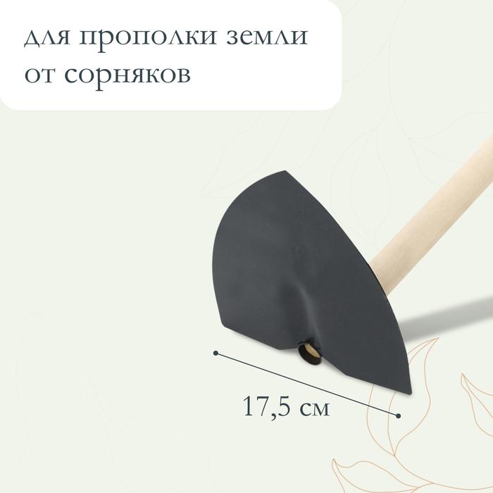 offer image