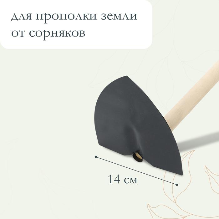 offer image
