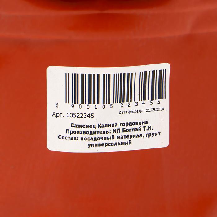 offer image