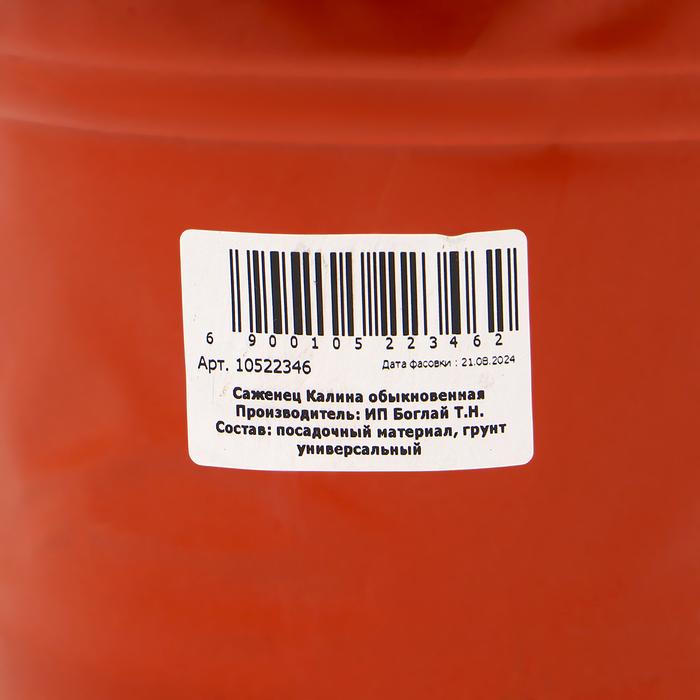 offer image