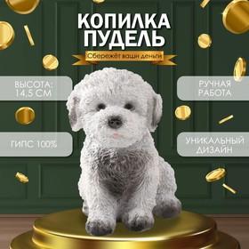 image for offer named Копилка "Щенок Пудель " 14,5 х 10 х 14 см.