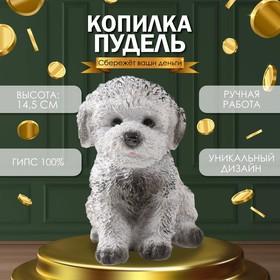 image for offer named Копилка "Щенок Пудель " 14,5 х 10 х 14 см.