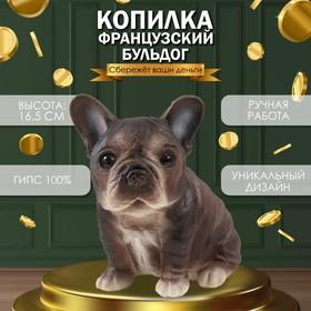 image for offer named Копилка "Щенок Французского бульдога" 16,5 х 11,5 х 18 см.