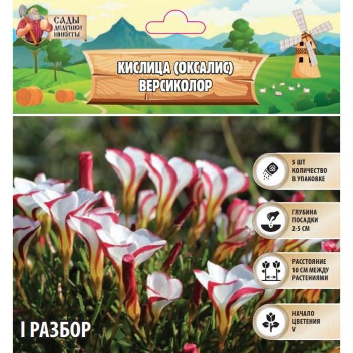 offer image