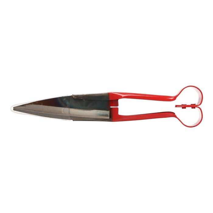 offer image