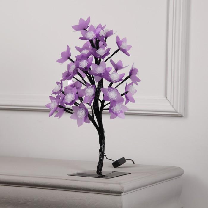 offer image