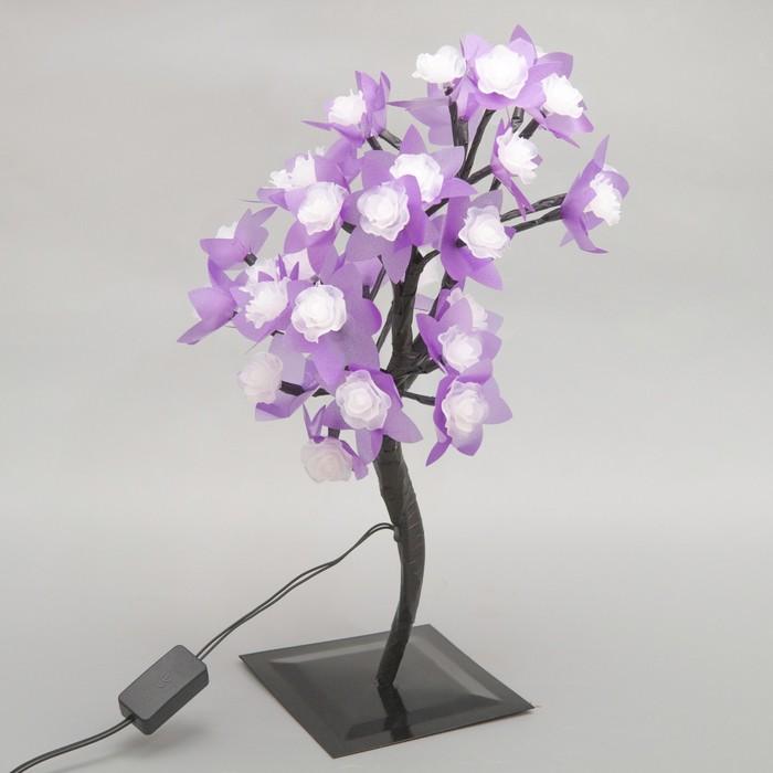 offer image