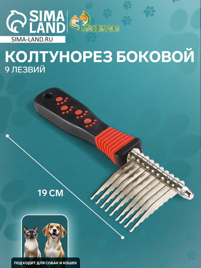 offer image