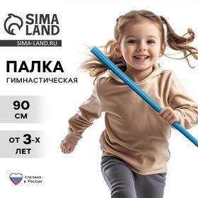 image for offer named Палка гимнастическая 90 см, цвет голубой