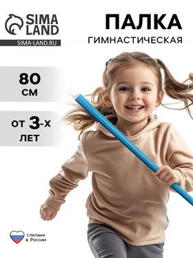 image for offer named Палка гимнастическая, 80 см, цвет голубой