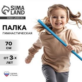 image for offer named Палка гимнастическая 70 см, цвет голубой