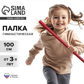 image for offer named Палка гимнастическая 100 см, цвет красный