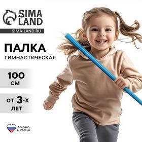 image for offer named Палка гимнастическая 100 см, цвет голубой
