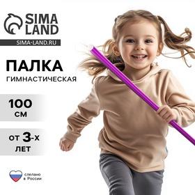 image for offer named Палка гимнастическая 100 см, цвет фиолетовый