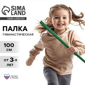 image for offer named Палка гимнастическая 100 см, цвет зелёный