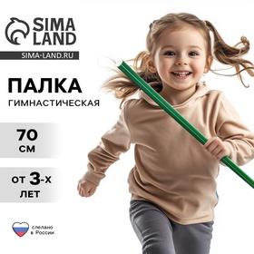image for offer named Палка гимнастическая 70 см, цвет зелёный